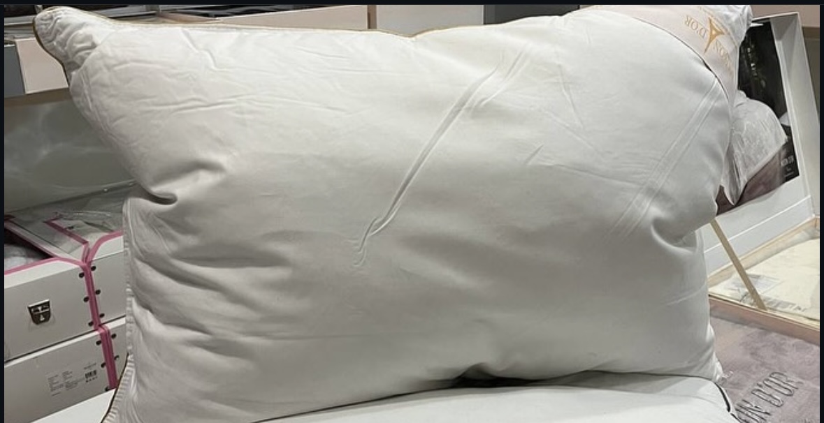 Plumes Twin 50x70 см (50% пух, 50% перо) подушка серебряная кайма